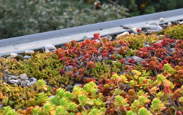the cost of Strathblane green roof installation