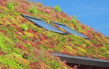 Strathblane living roof systems