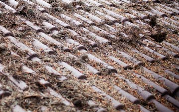 Strathblane roof cleaning companies