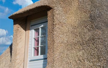 Strathblane thatch roof disadvantages
