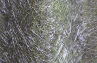 Strathblane fibreglass roof work